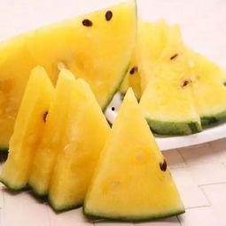 热门大瓜 网红黑料牛奶秋刀鱼,牛奶、秋刀鱼背后的热门大瓜