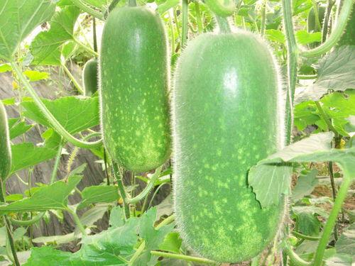 2024大瓜事件 不干了,不干了，揭开娱乐圈惊人内幕